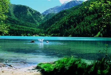 Antholzer See
