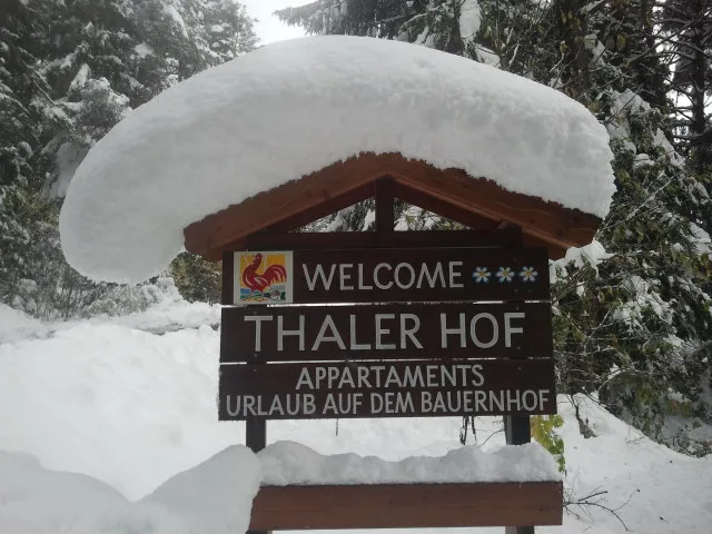 Hof & Haus – Foto 14