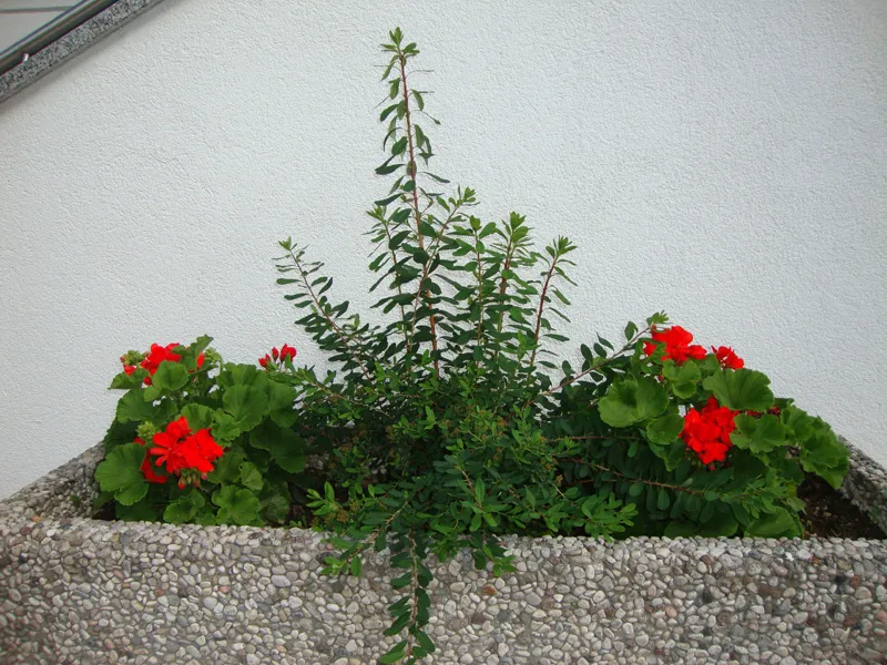 Hof & Haus – Foto 51