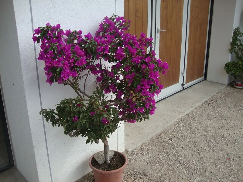 Hof & Haus – Foto 56