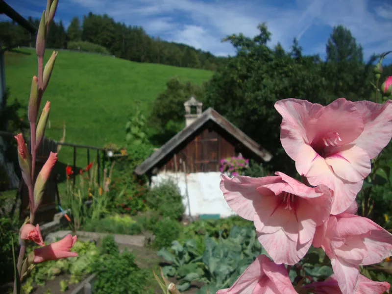 Hof & Haus – Foto 57