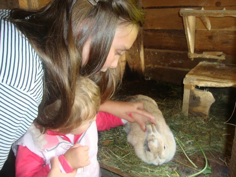 Kinderparadies – Foto 14