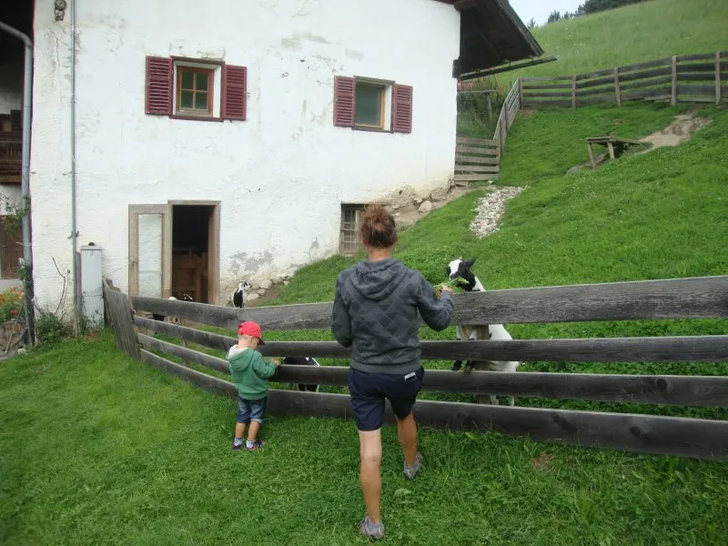 Kinderparadies – Foto 19