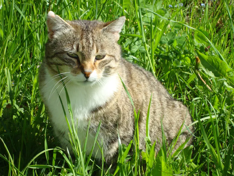 Tiere & Hofarbeit – Foto 8