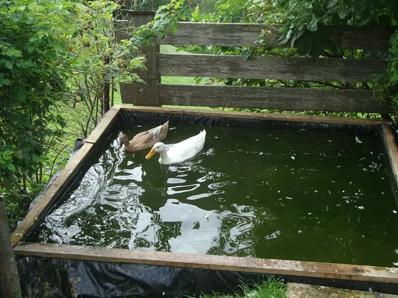 Tiere & Hofarbeit – Foto 23