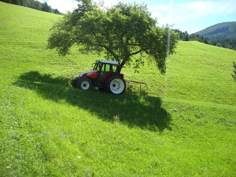 Tiere & Hofarbeit – Foto 44