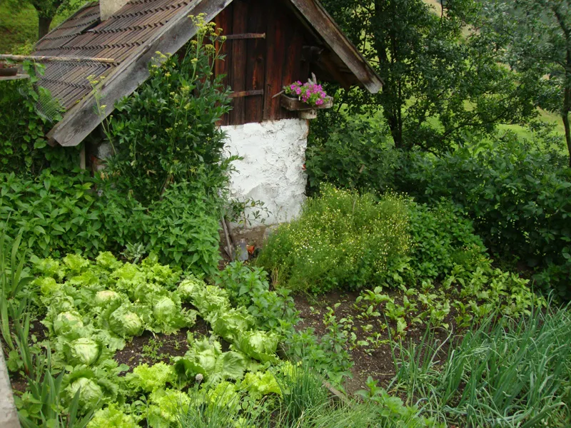 Tiere & Hofarbeit – Foto 47