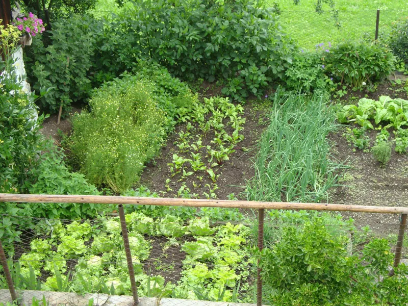 Tiere & Hofarbeit – Foto 48